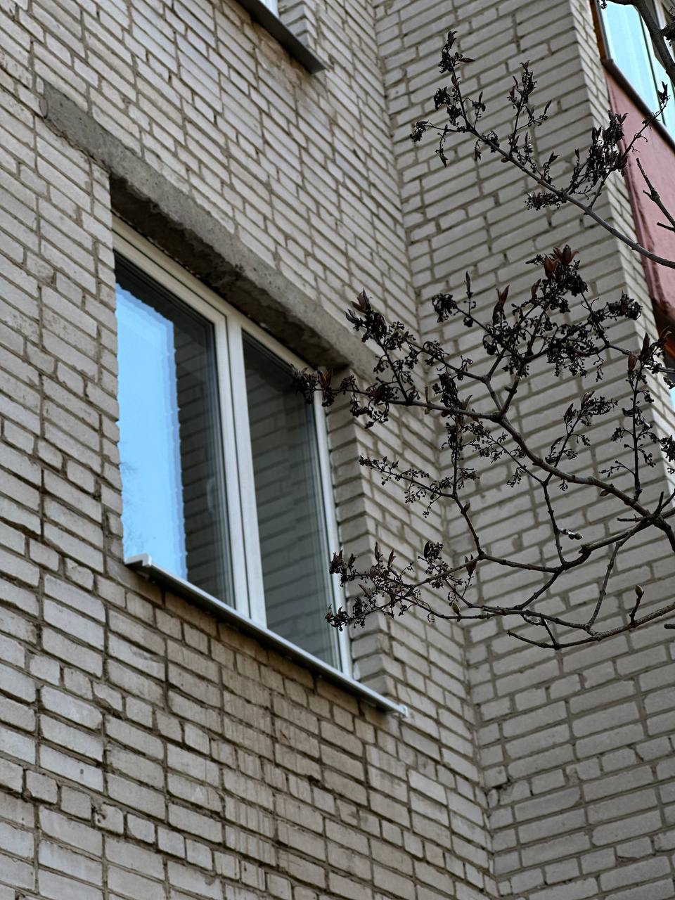 Окно пластиковое