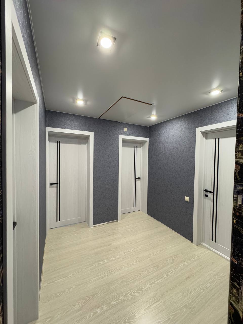 Межкомнатные двери